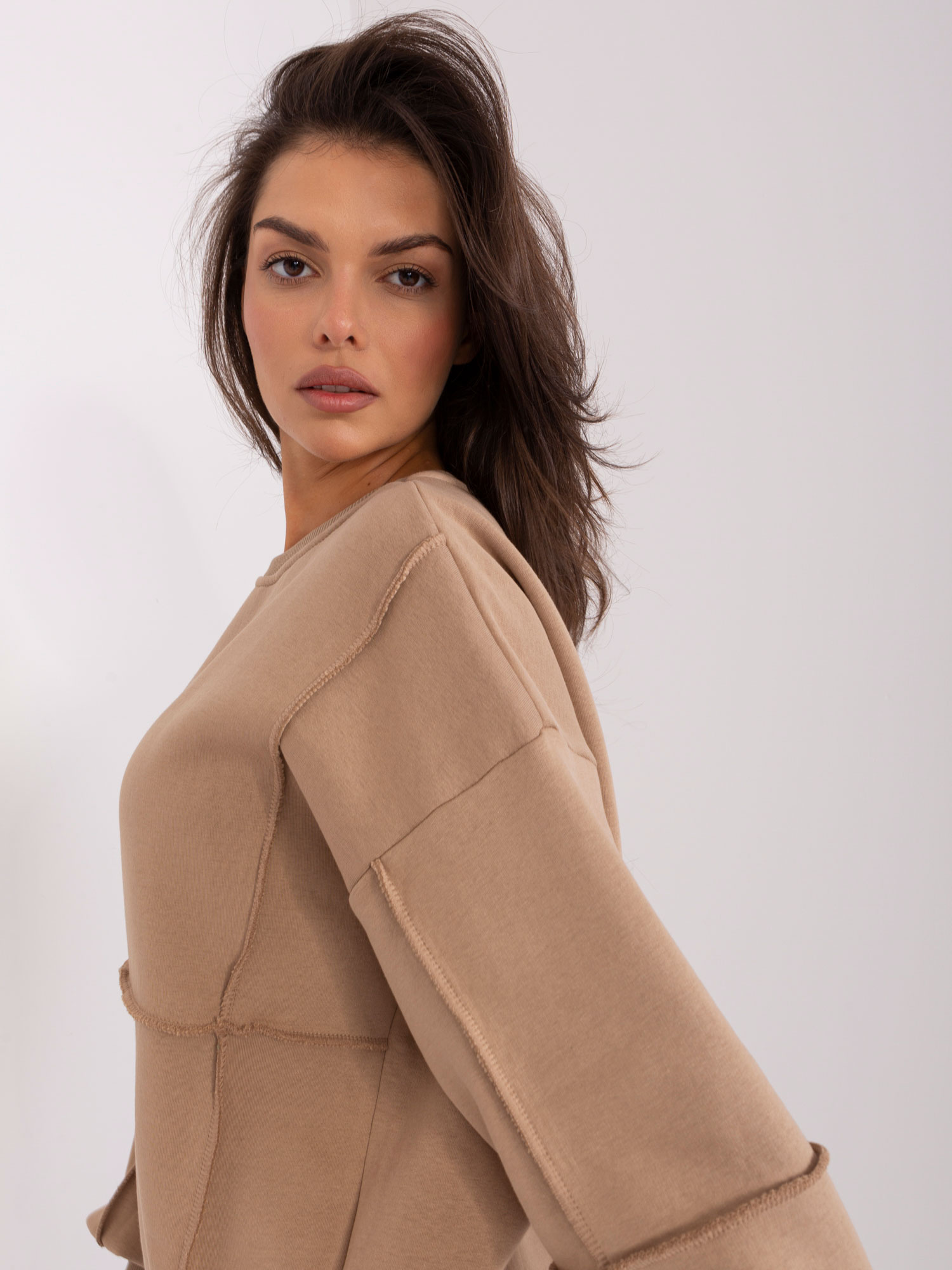 Dark beige insulated sweatshirt without a hood.